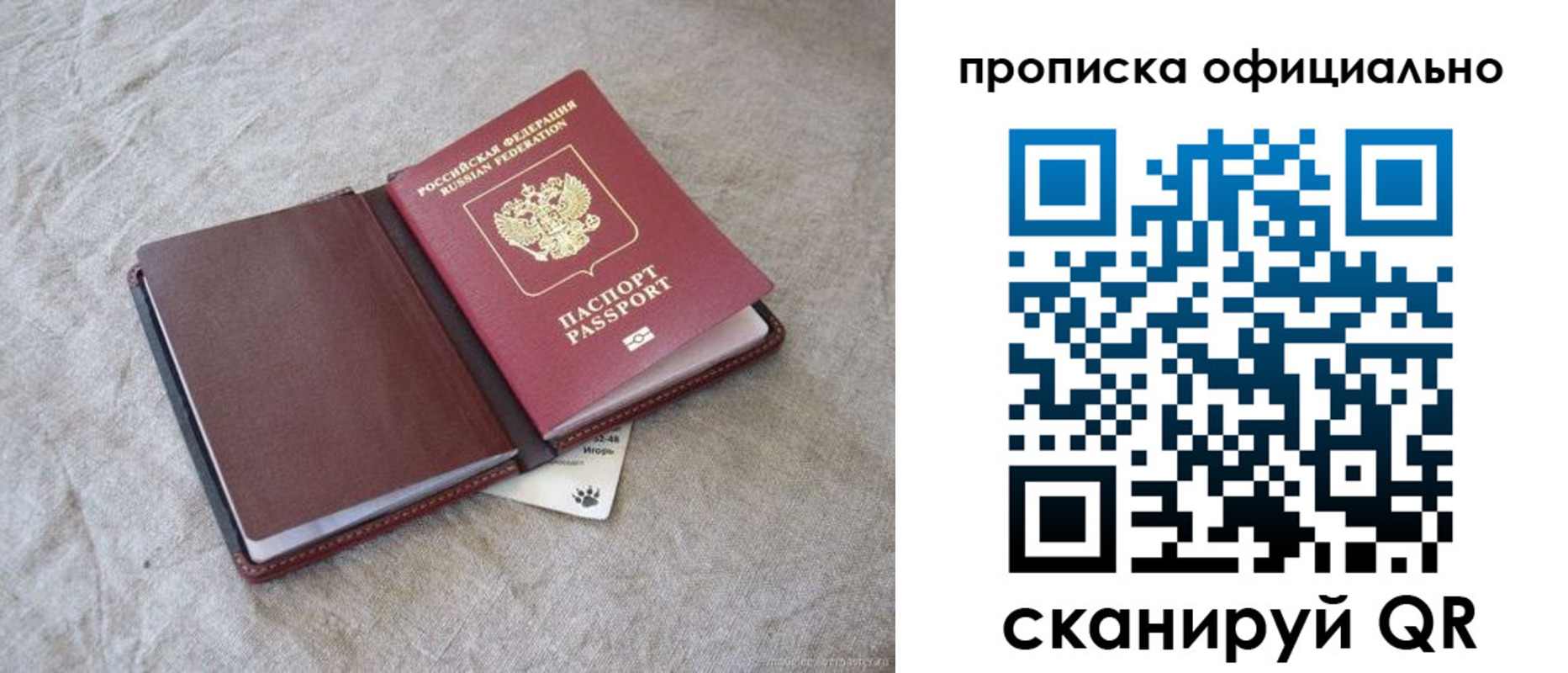 временная регистрация поиск в Королёве